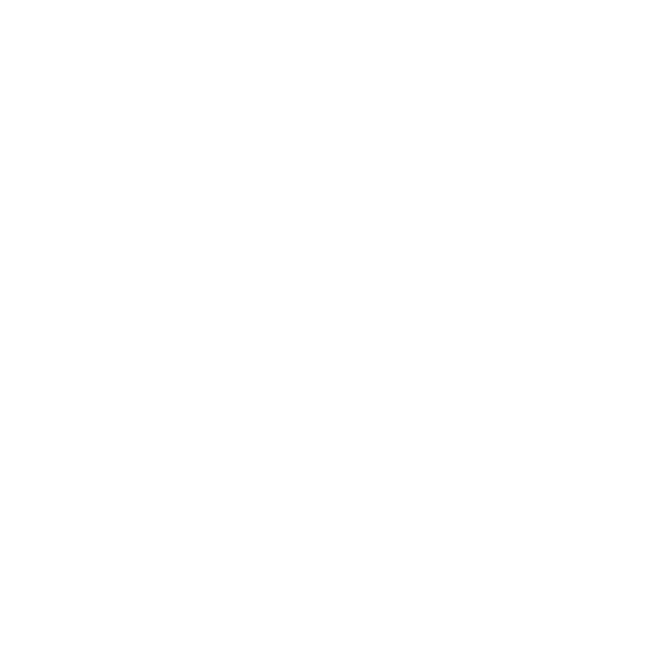 BÄR